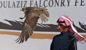 The Saudi Falcon Club Soared At Expo 2020